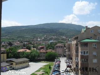 11842