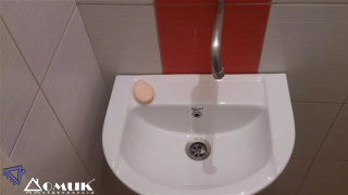 12733