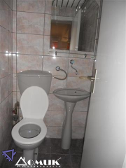 23262