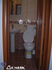 254977
