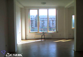 255818