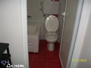 256308