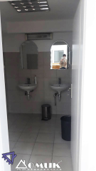 256824