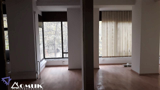 256824