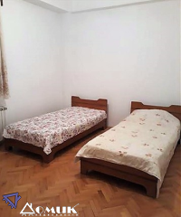262591