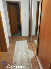 268558
