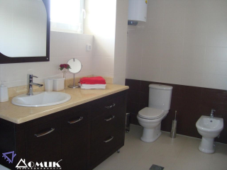 5619