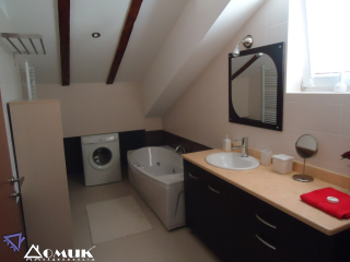 5619