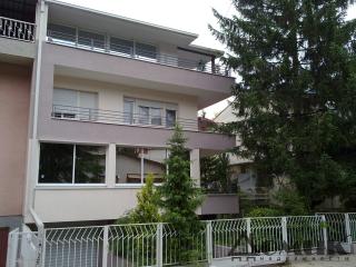 8376